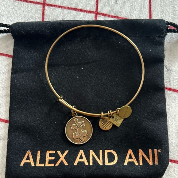 Alex and Ani Autism Puzzle bracelet - Picture 1 of 1